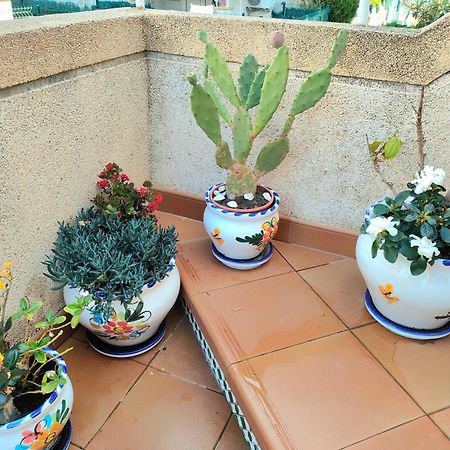 Casa De Buenos Dias Apartman Torrevieja Kültér fotó