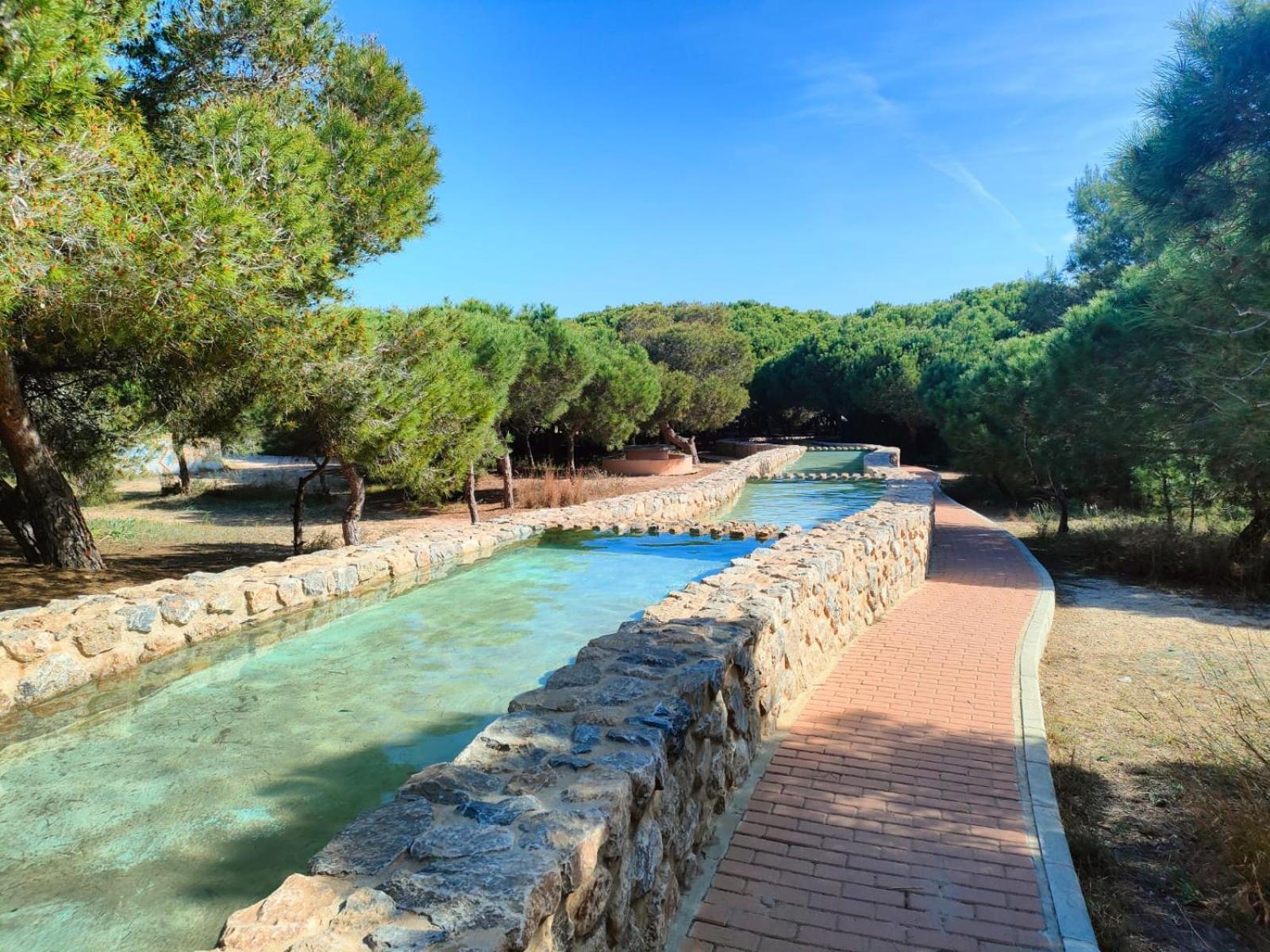 Casa De Buenos Dias Apartman Torrevieja Kültér fotó
