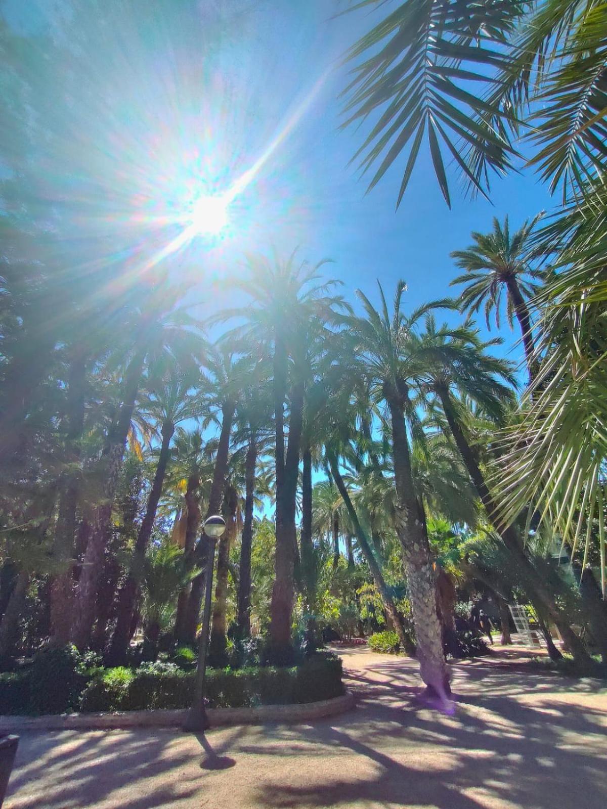 Casa De Buenos Dias Apartman Torrevieja Kültér fotó