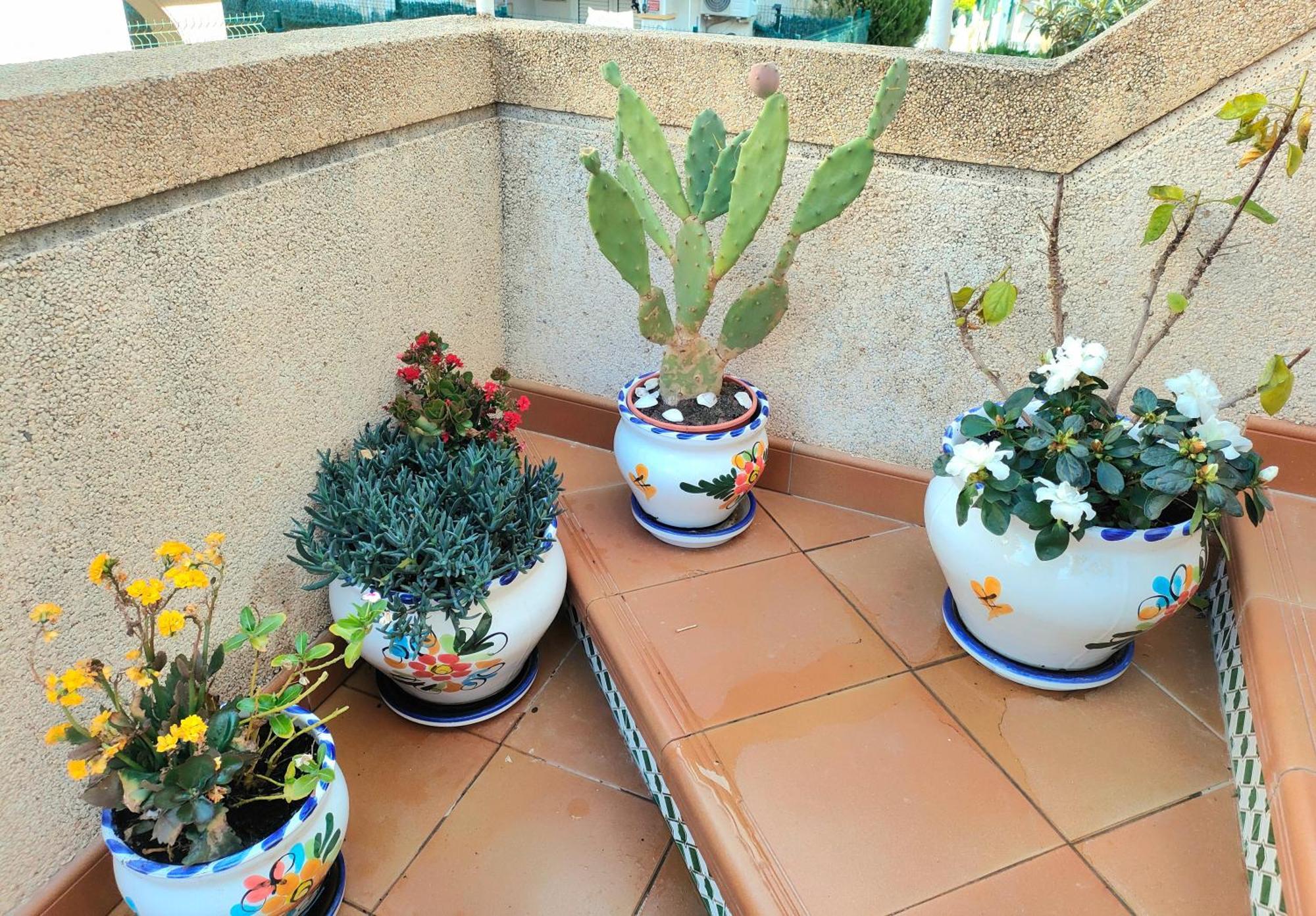 Casa De Buenos Dias Apartman Torrevieja Kültér fotó